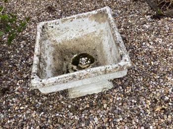 Free toilet *damaged*