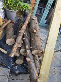 Free wood for log burner
