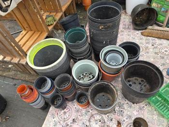 Plant pots free