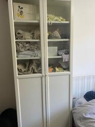 FREE.  IKEA Billy bookcase