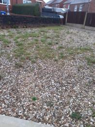 Three fence panels - free to collect