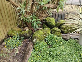 Garden boulders