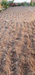 Artificial Grass Remnant – fair/used condition FREE