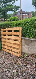 Free pallet